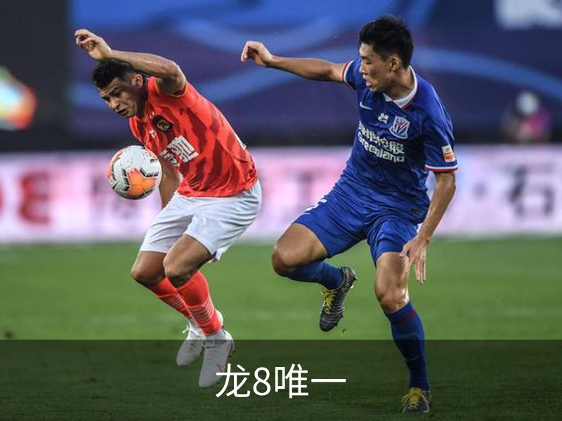 了解龙8唯一
