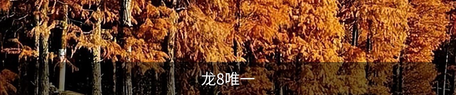 龙8-long8 (国际)唯一官方网站